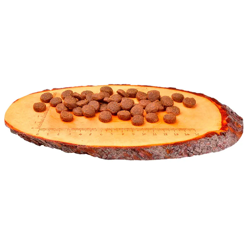 Carnilove ankka & fasaani koiran kuivaruoka aikuiselle - retkeilyvarusteet verkkokaupasta