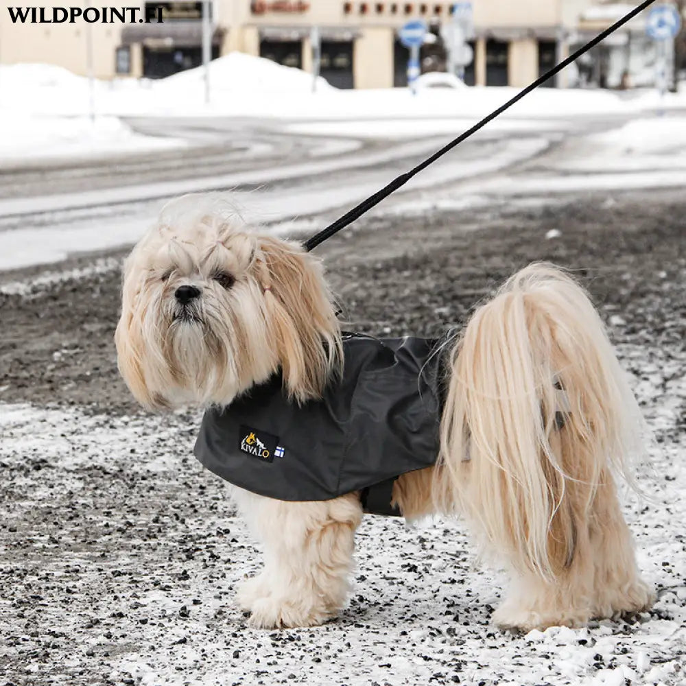 Kivalo koiran sadetakki niva