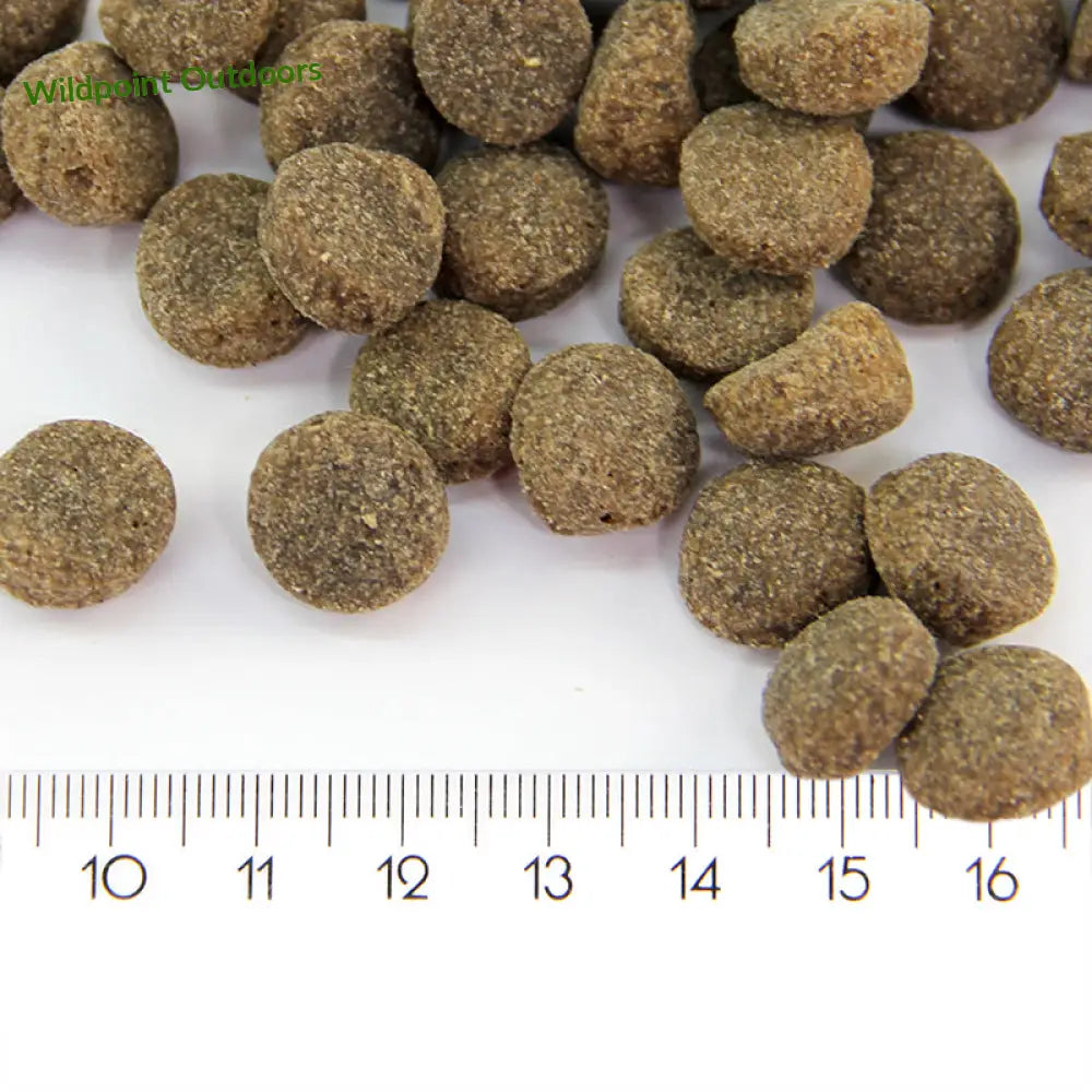 Probooster adult sensitive lamb - wildpoint outdoors retkeily