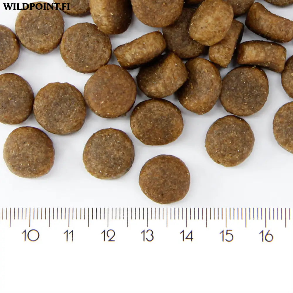 Probooster adult sensitive salmon