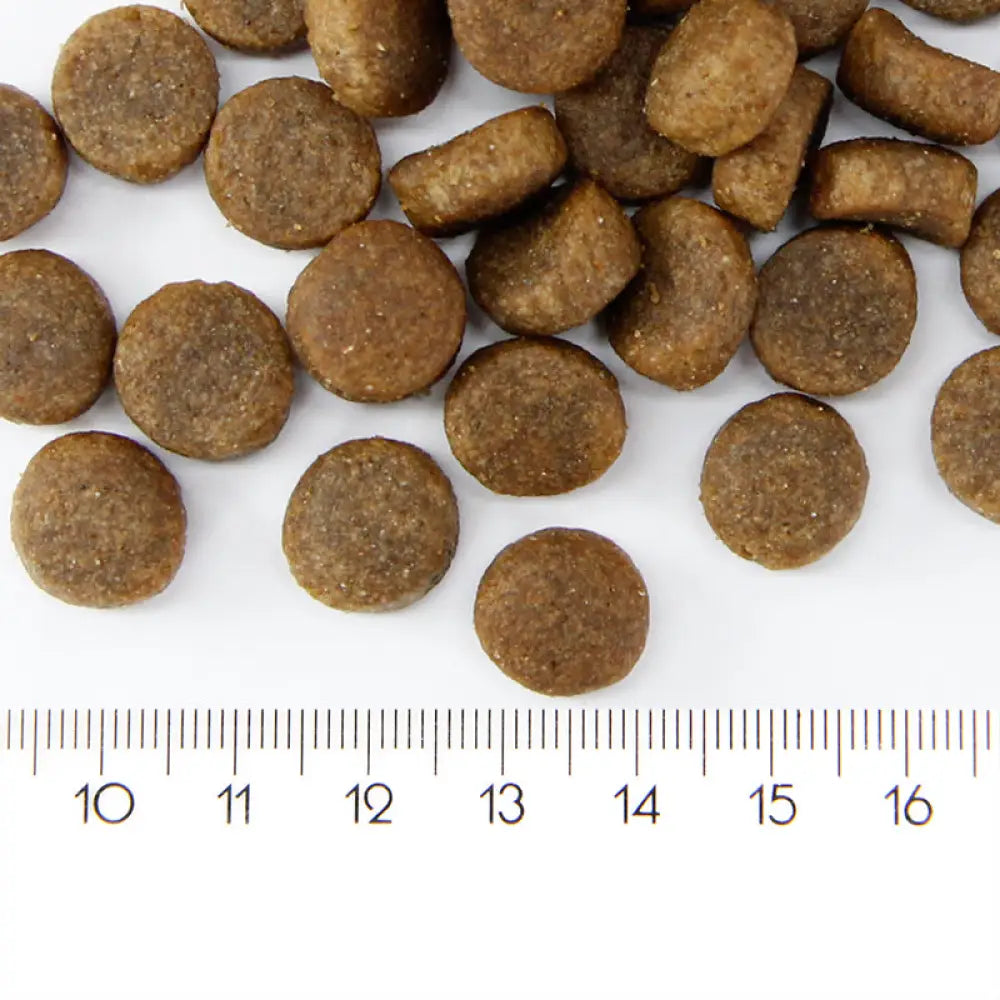 Probooster adult sensitive salmon - wildpoint outdoors retkeilyvarusteet verkkokaupasta