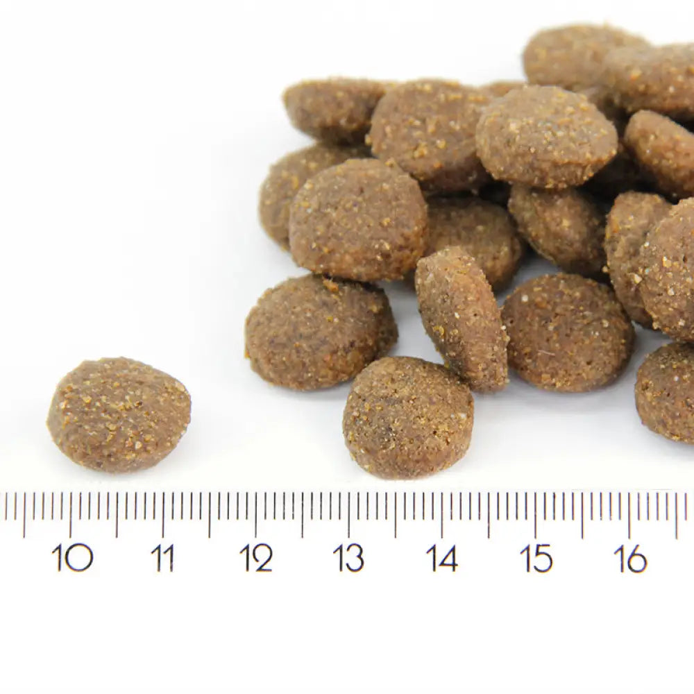 Probooster puppy maxi chicken - wildpoint outdoors retkeilyvarusteet verkkokaupasta