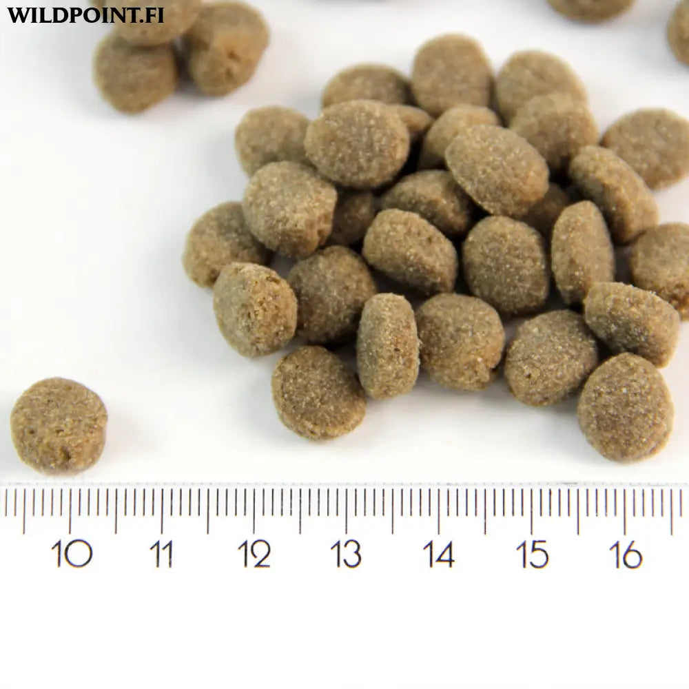 Probooster puppy sensitive lamb