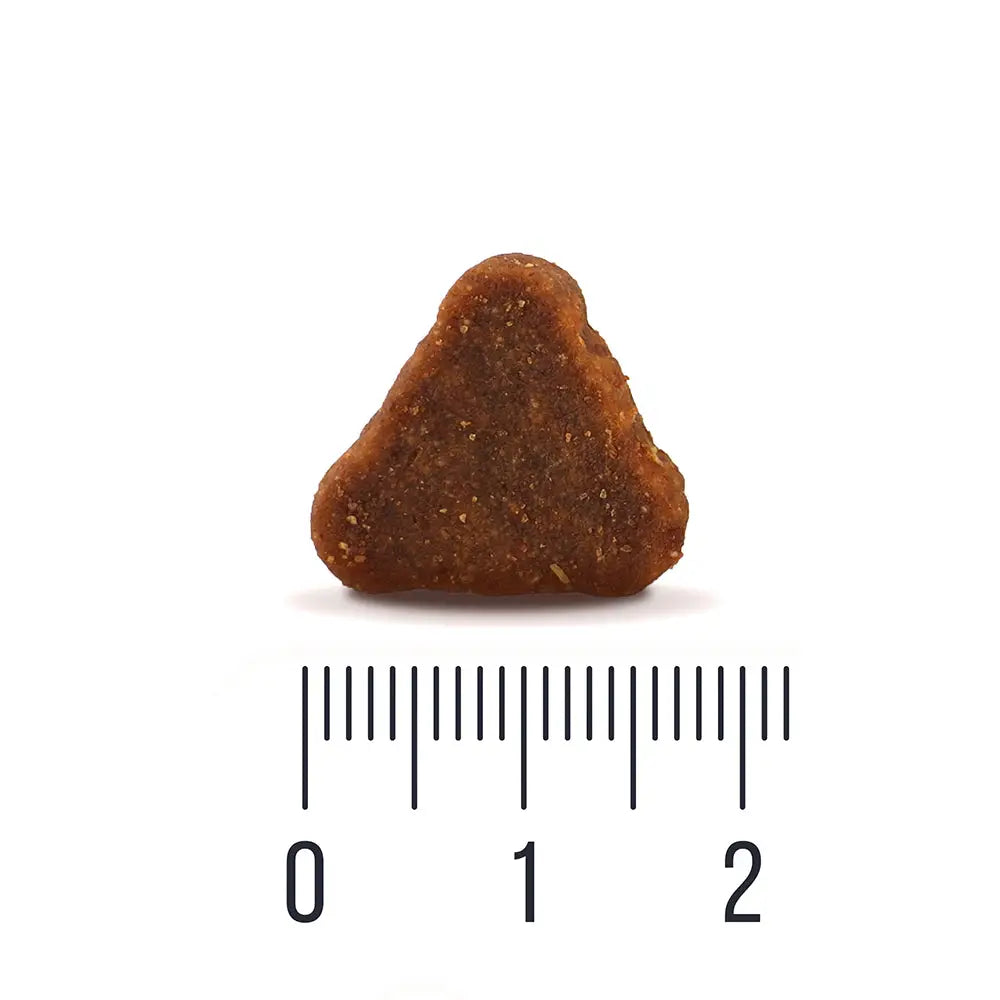 Quattro koira aikuiset lohiruoka kaikille roduille - koiranruoka dog adult salmon all breed - wildpoint outdoors