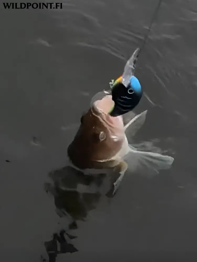 Wildpoint matt black 7cm