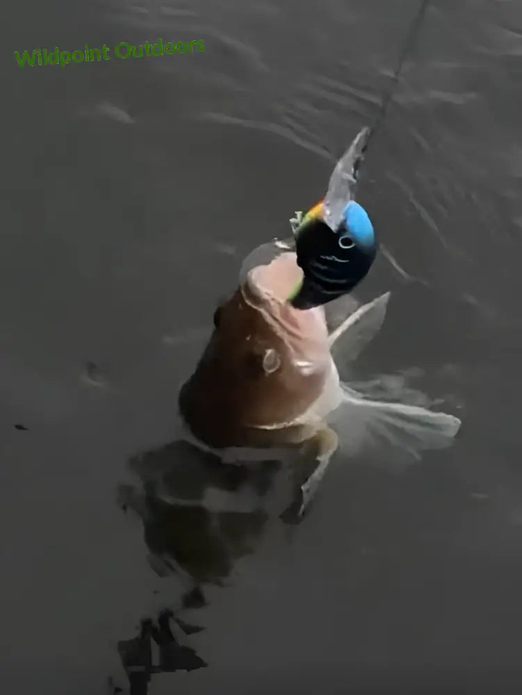 Mattamusta wobbler - pilvisen sään saalistaja 7cm 14g - retkeily 4,90 €