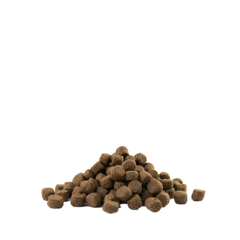 12,5 kg opti life adult digestion medium & maxi - retkeilyvarusteet verkkokaupasta 66,90 €