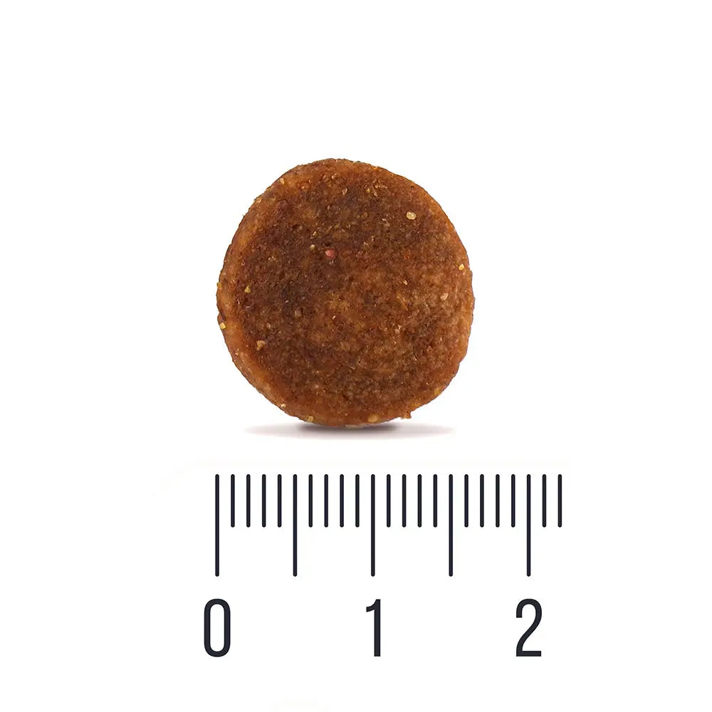 12 kg quattro dog maxi adult large breed - koiranruoka täysravinto retkeilyvarusteet verkkokaupasta 44,90 €