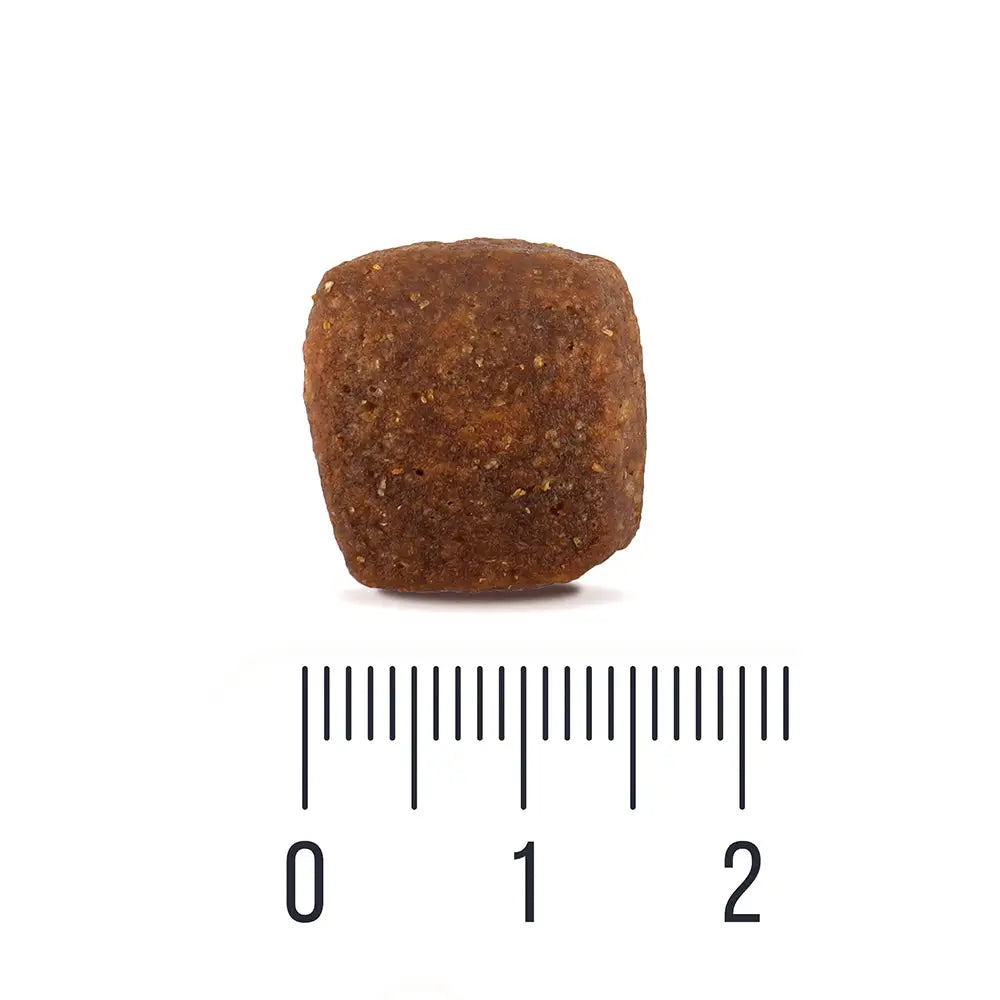 12 kg quattro dog sport adult all breed - koiranruoka täysravinto aikuisille retkeilyvarusteet verkkokaupasta 46,90 €