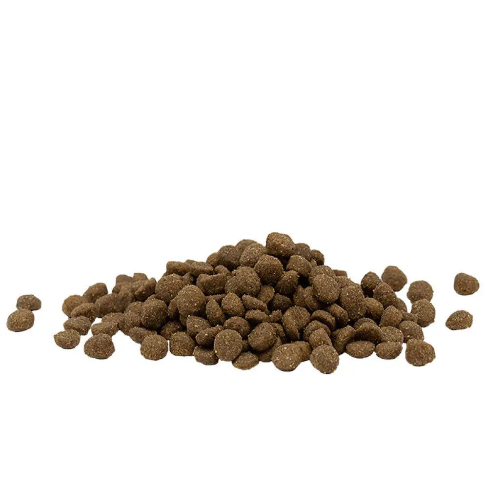Ruskeat, teksturoidut kibble-pelletit kasattuina 2,5 kg opti life cat adult viljaton kana -kissanruoassa