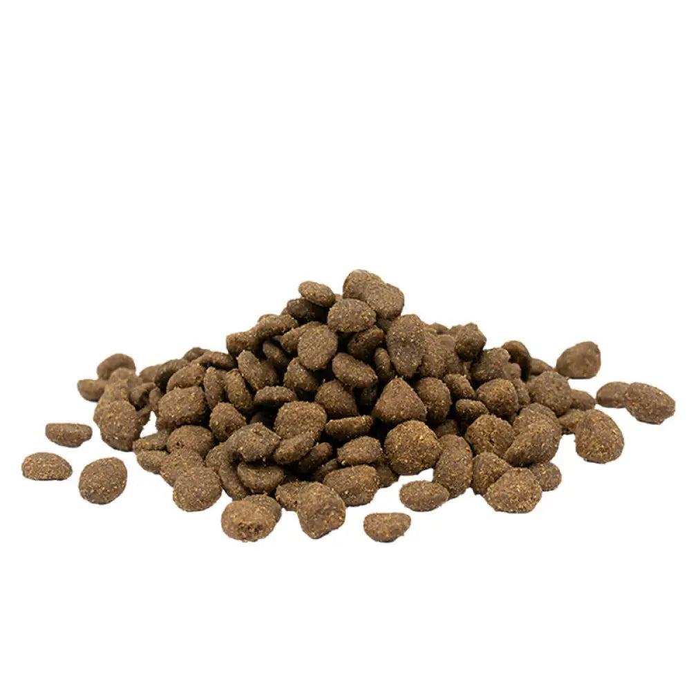 Pino ruskean sävyisiä viljattomia lohikroketteja opti life cat sensitive -kissanruoassa 2,5 kg painoisena