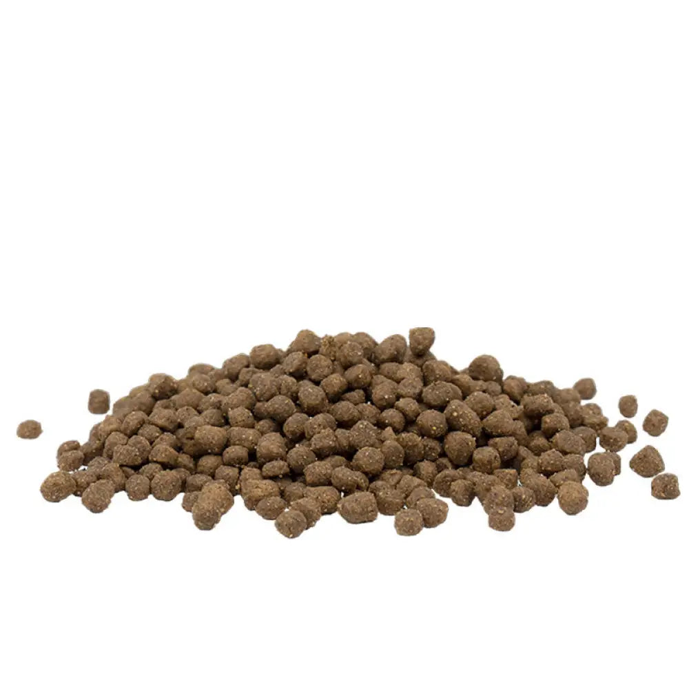 Ruskeat pyöreät nappulat opti life cat kitten viljaton kana kissanpennun ruoka 2,5 kg pakkauksessa