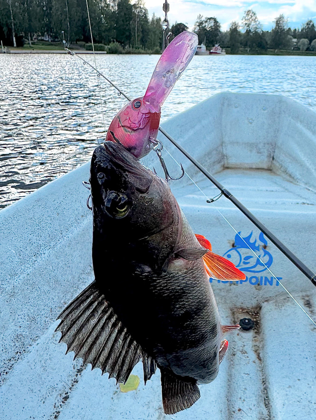 Wildpoint Appura 5cm, 11g