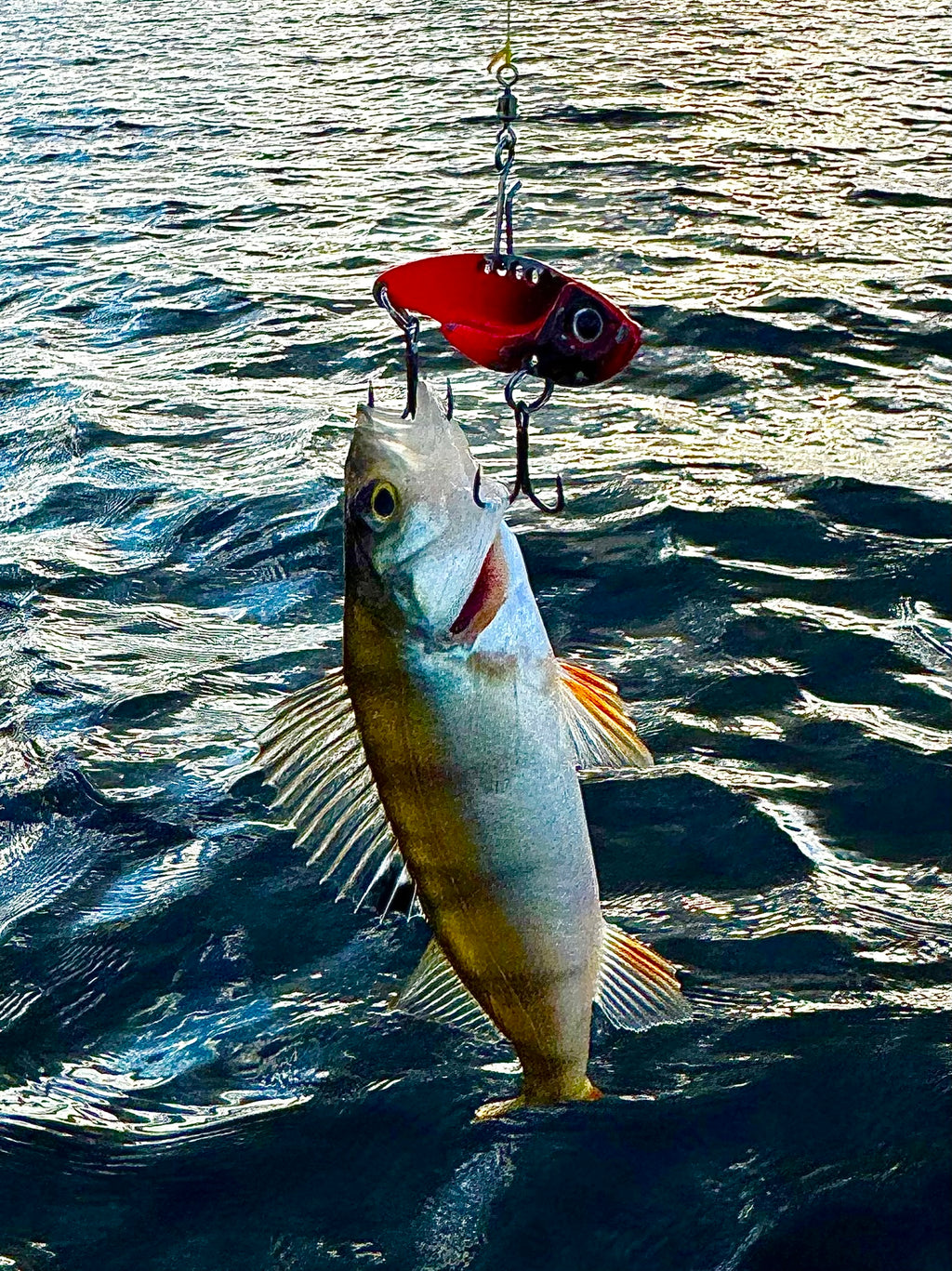 Wildpoint Blady 5cm, 10g