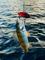 Wildpoint Blady 5cm, 10g