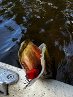 Wildpoint Blady 5cm, 10g