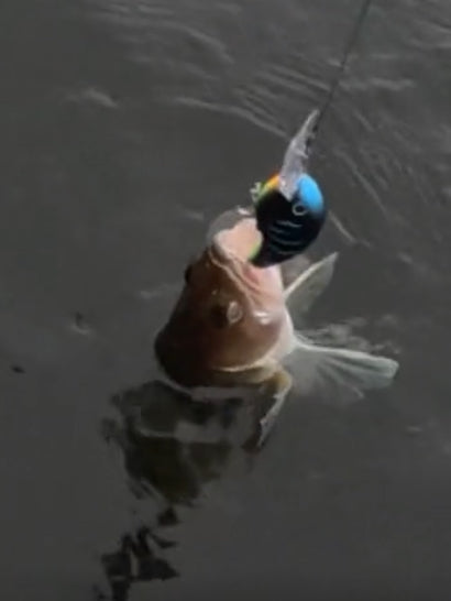 Wildpoint Matt Black 7cm