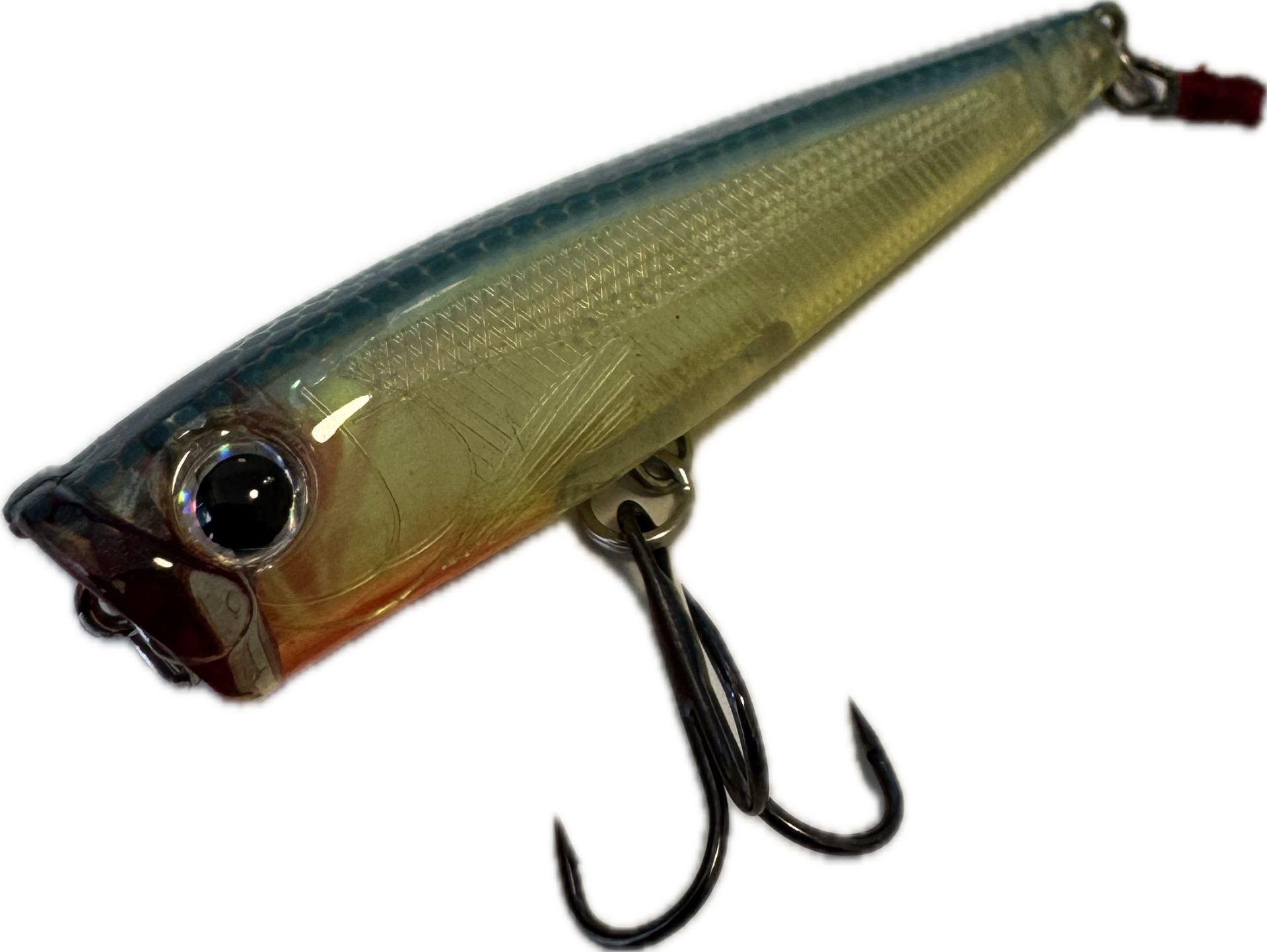 Wildpoint Nami Popper 6,5cm, 7g