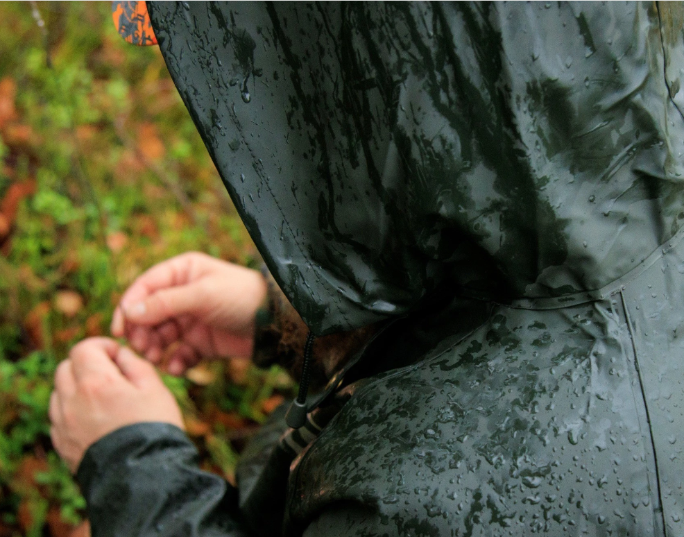 Haghus Joustava sadeasu