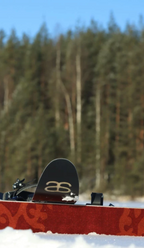 Altai Skis Altai Tao 165 liukulumikengät + Pivot siteet