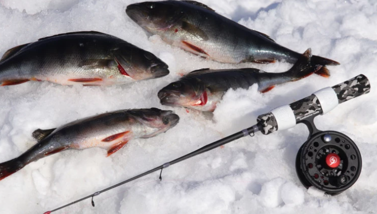 Scandinavian Tackle Quadstik 20" COMBO