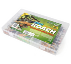Shaker Baits Maxi Mad Roach Jigisarja 106 osaa