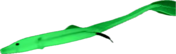 Wildpoint Luminous Jigi 3kpl/pss