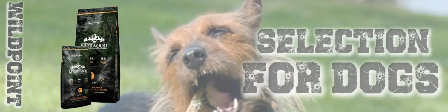 Retki- tasku- ja otsalamput