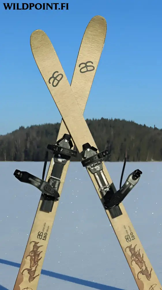 Altai skis altai tao 165 liukulumikengät + pivot siteet
