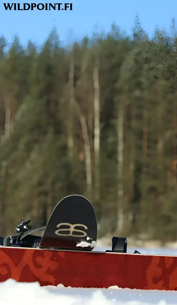 Altai skis altai tao 165 liukulumikengät + pivot siteet