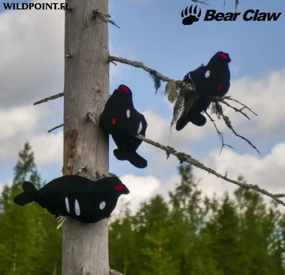 Bear claw houkutinteeri