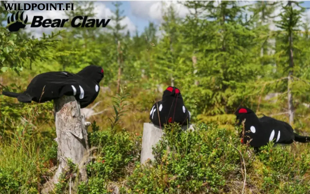 Bear claw houkutinteeri