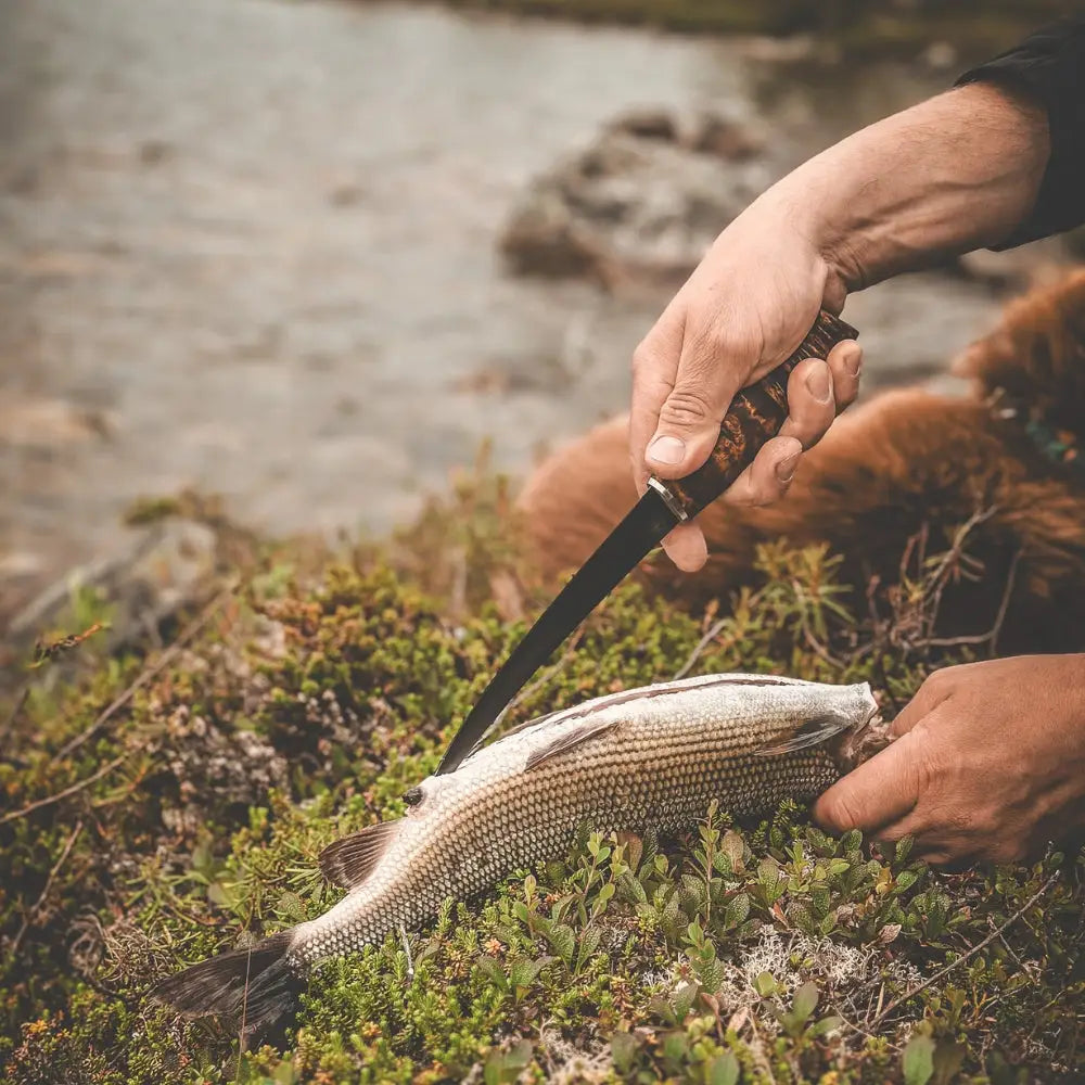 Big fillet knife - knife - wildpoint outdoors retkeilyvarusteet verkkokaupasta 185 €