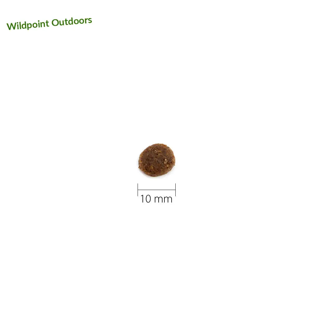 Booster puppy - wildpoint outdoors retkeily