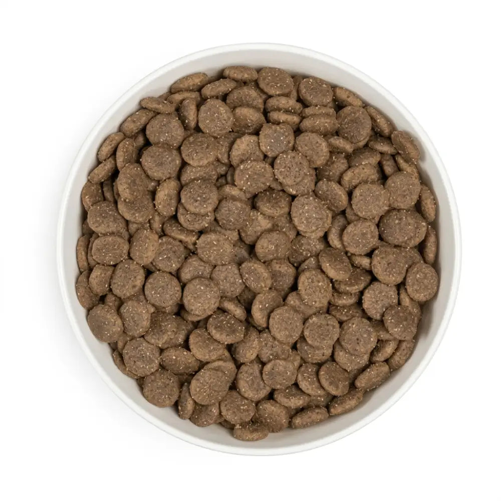 A white ceramic bowl filled with brown kibble pellets of era millennium adult m l duck and lamb dog food 12kg