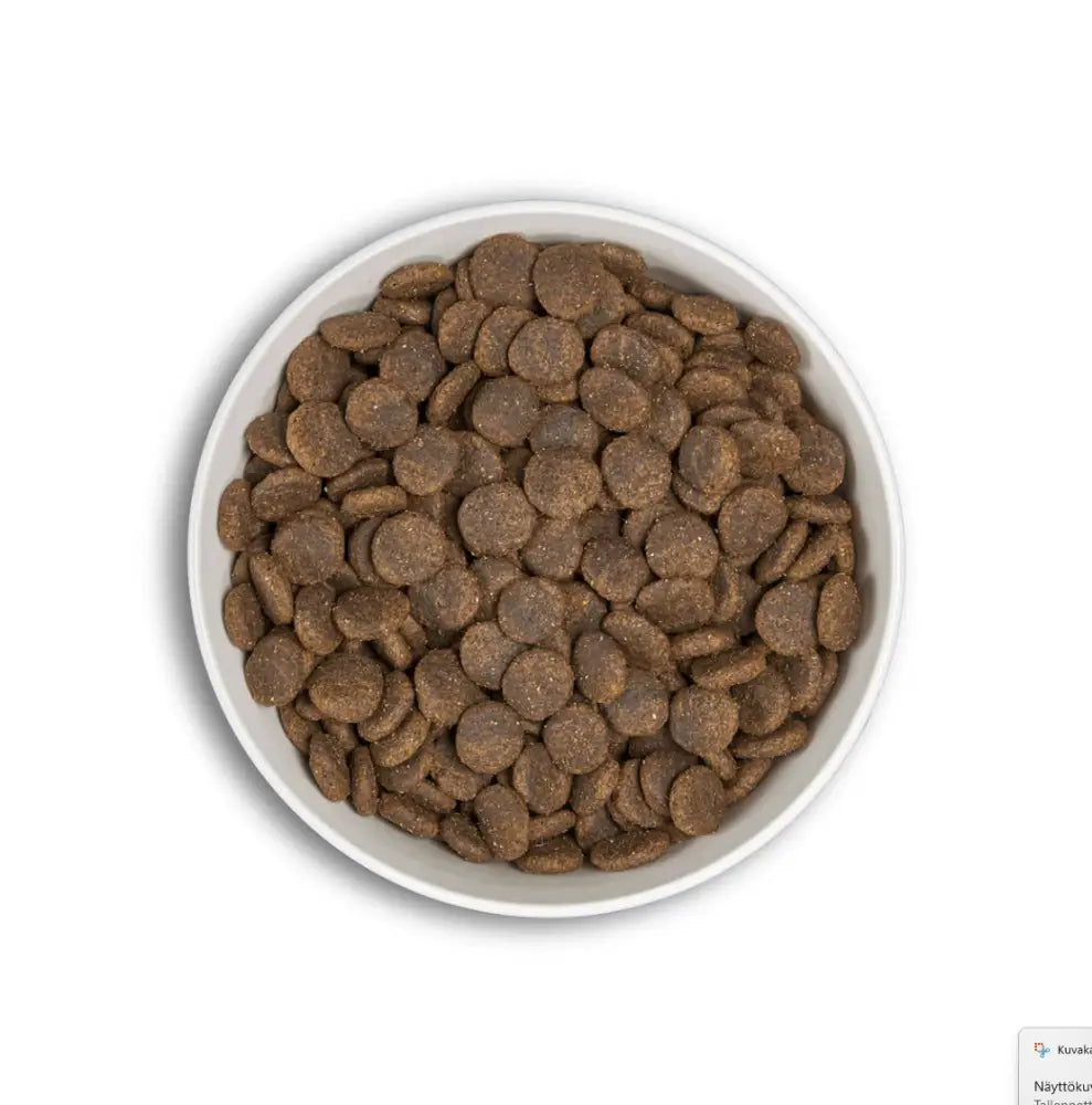A white ceramic bowl filled with brown kibble pellets of era millennium adult salmon and herring dog food