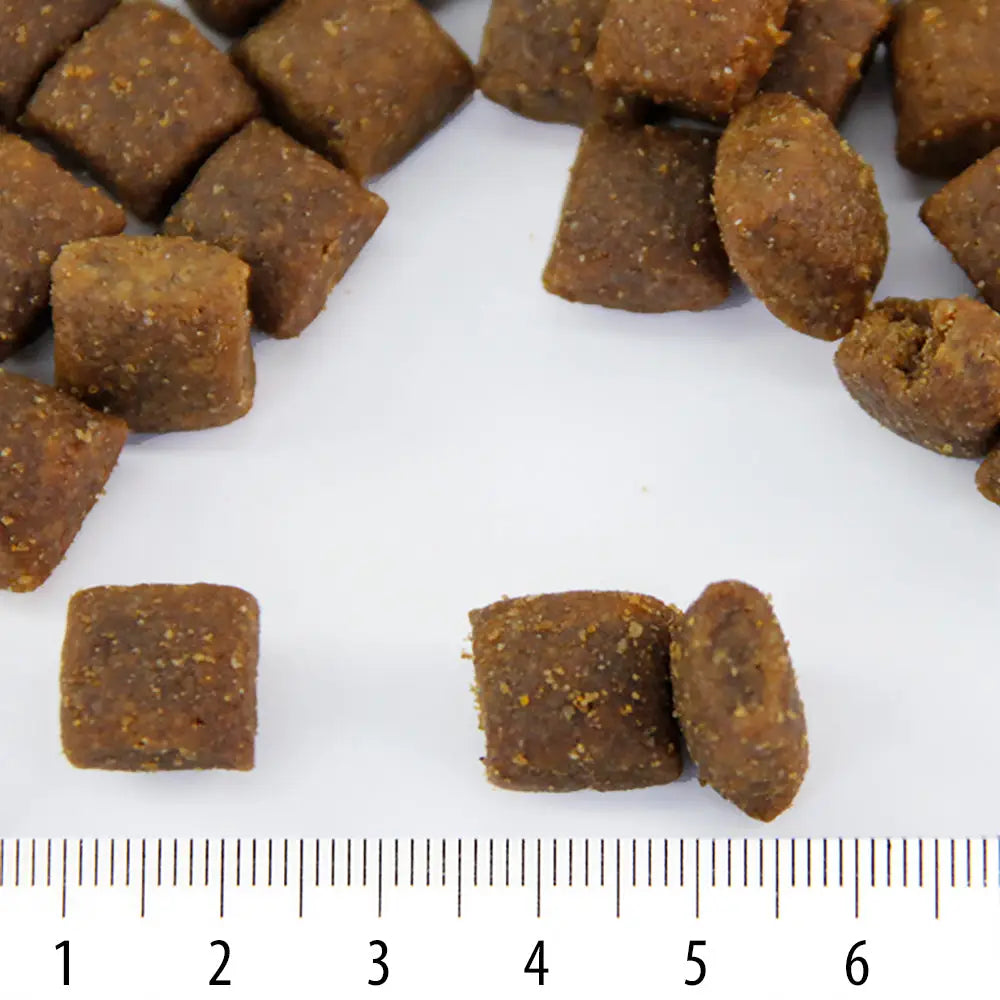 Extravoima rokka - aktiivisille koirille retkeilyvarusteet verkkokaupasta