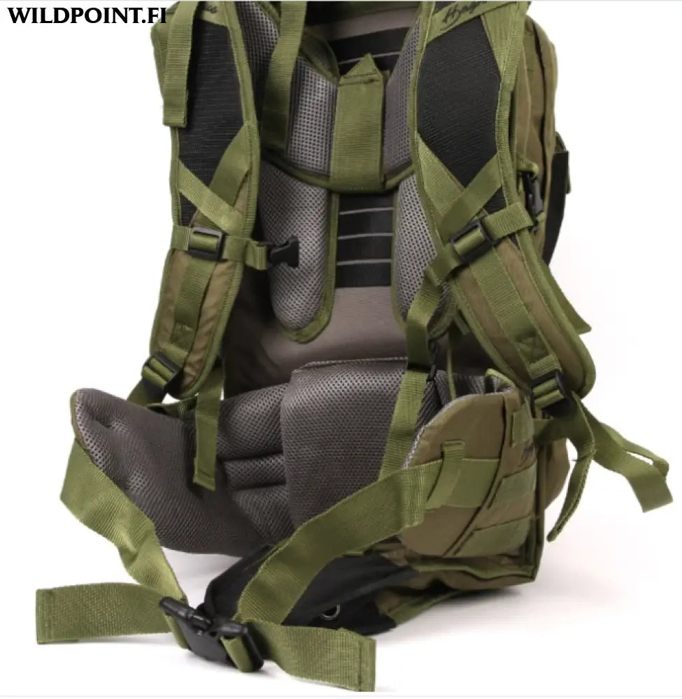 Haghus korpimäki 35 päivärinkka asepussilla.