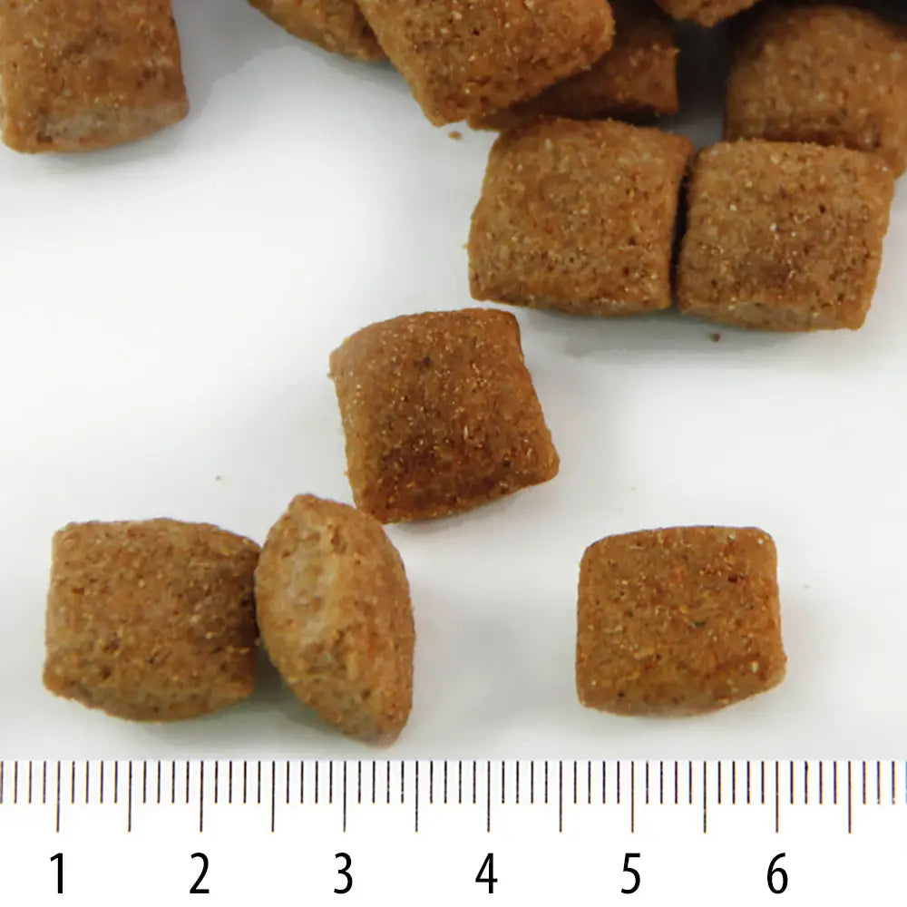 Kevyt rokka - wildpoint outdoors retkeilyvarusteet verkkokaupasta