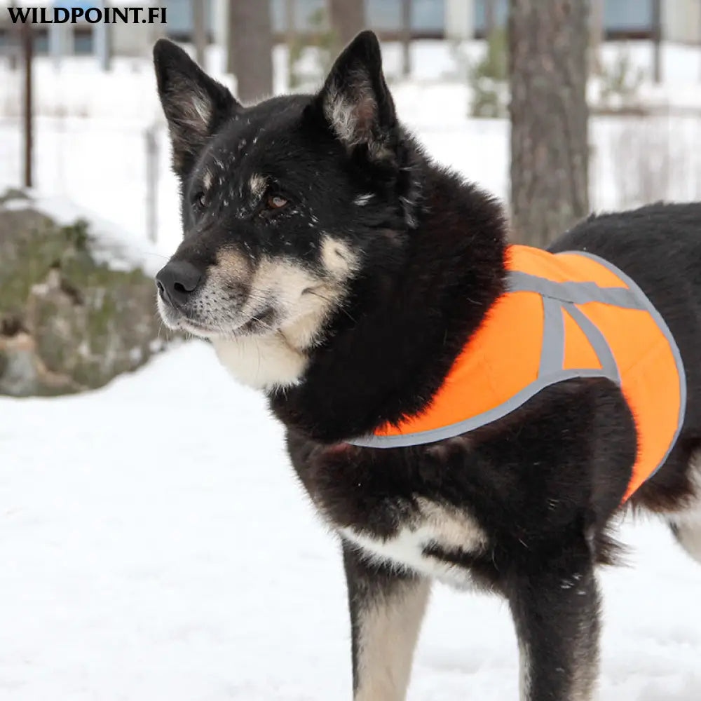 Kivalo koiran heijastinliivi kaamos