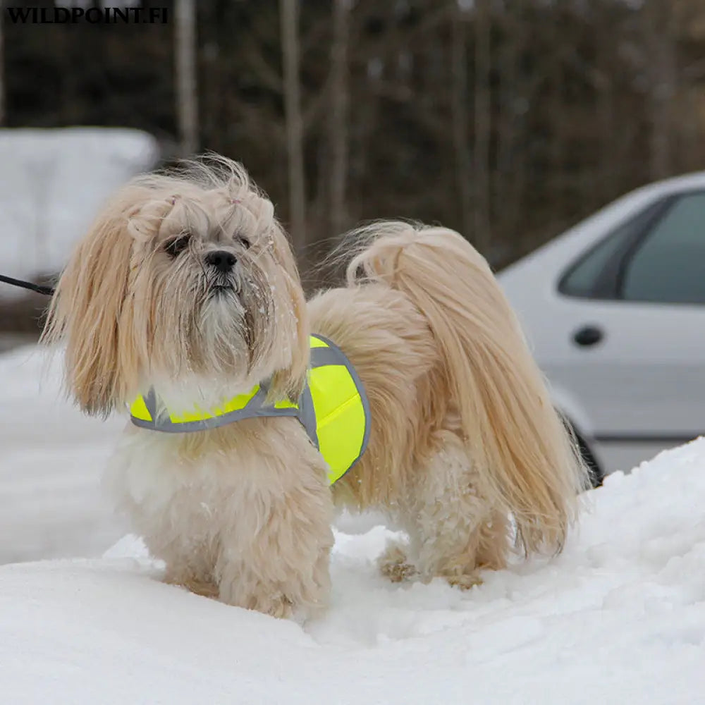 Kivalo koiran heijastinliivi kaamos