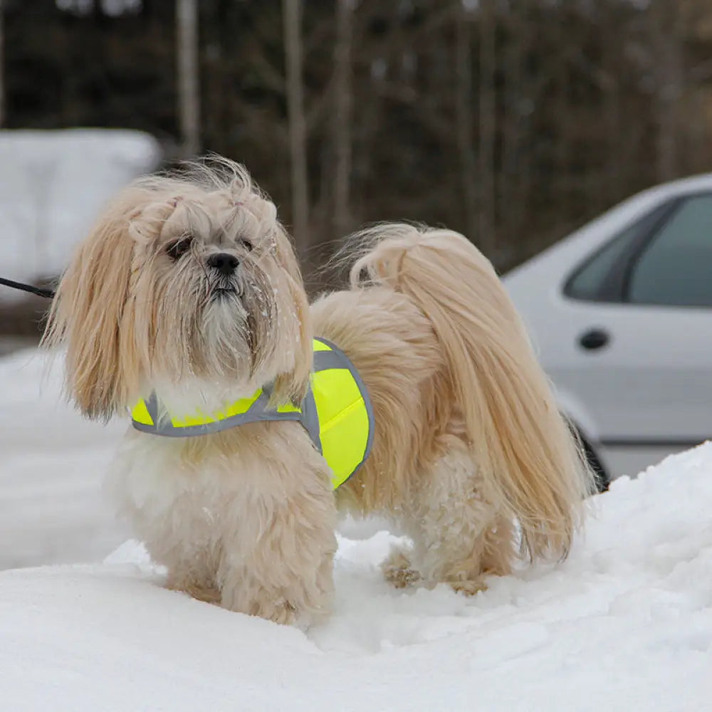 Kivalo koiran heijastinliivi kaamos - heijastinlivi - wildpoint retkeilyvarusteet verkkokaupasta
