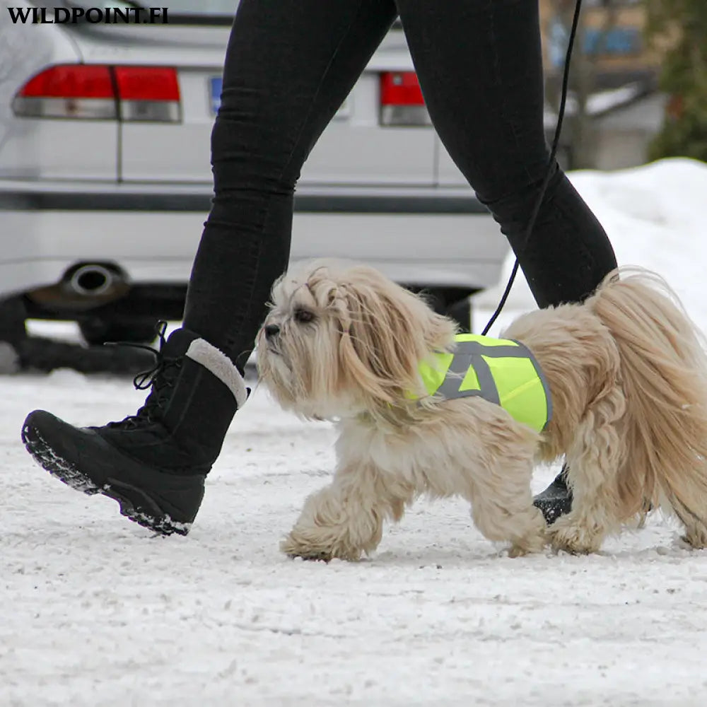 Kivalo koiran heijastinliivi kaamos