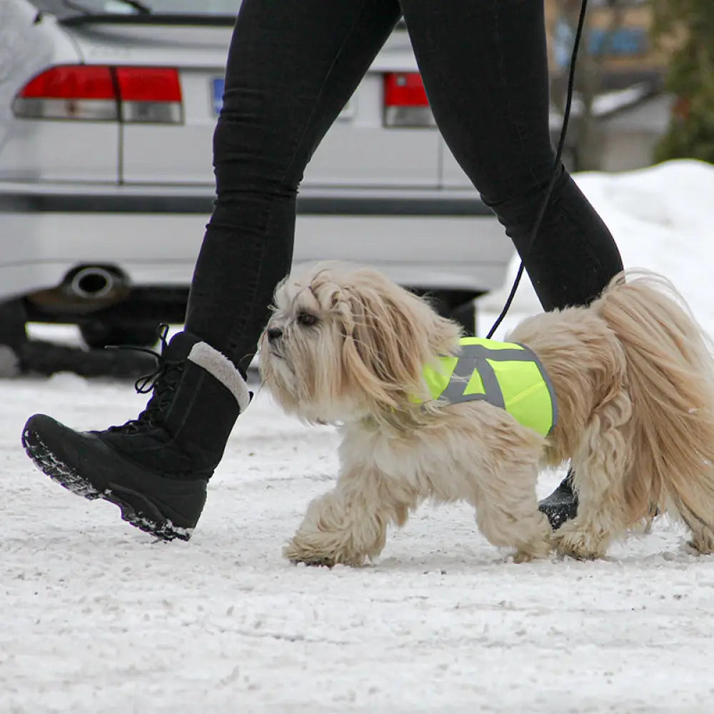 Kivalo koiran heijastinliivi kaamos - heijastinlivi - wildpoint retkeilyvarusteet verkkokaupasta