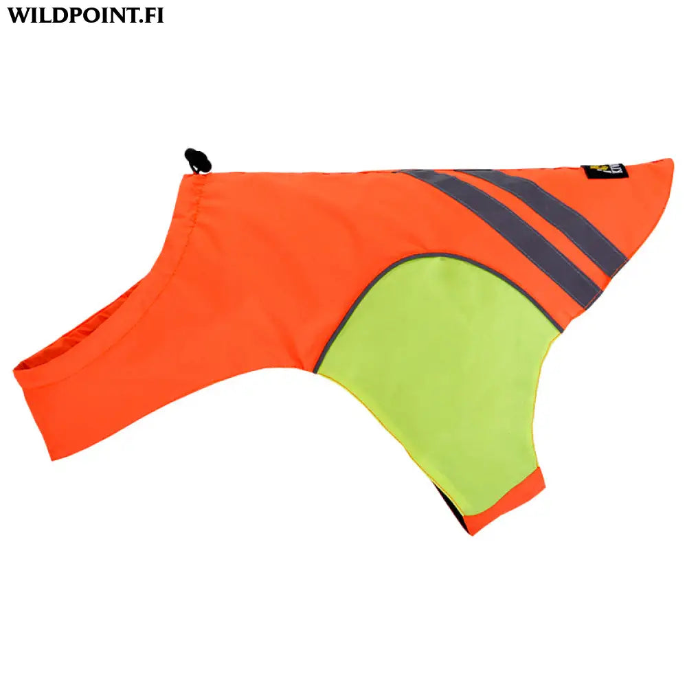 Kivalo koiran huomioliivi kajo