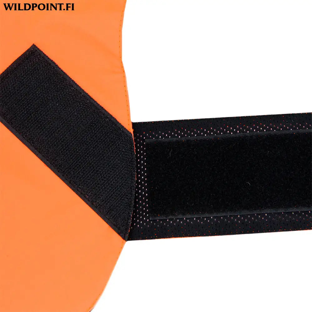 Kivalo koiran huomioliivi kajo