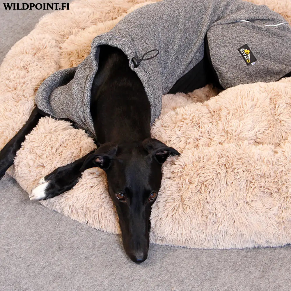 Kivalo koiran lämpöpaita luppo