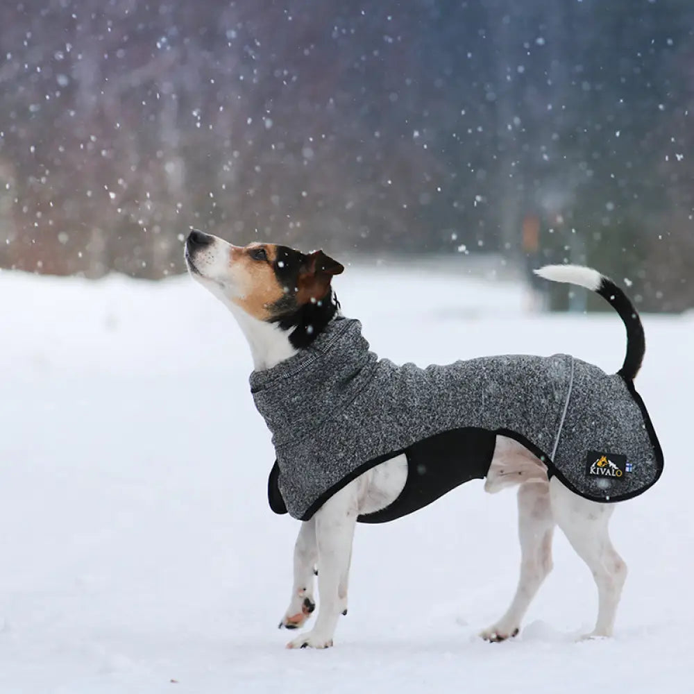 Kivalo koiran lämpöpaita luppo - koiran takki - wildpoint outdoors retkeilyvarusteet verkkokaupasta