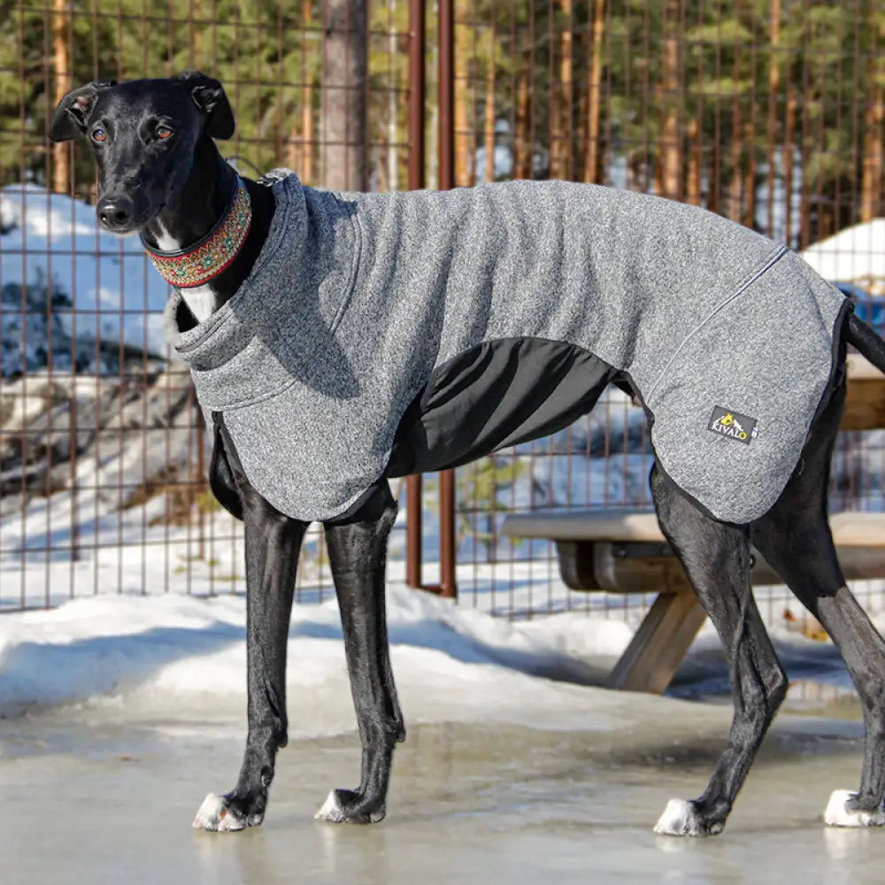 Kivalo koiran lämpöpaita luppo - koiran takki - wildpoint outdoors retkeilyvarusteet verkkokaupasta