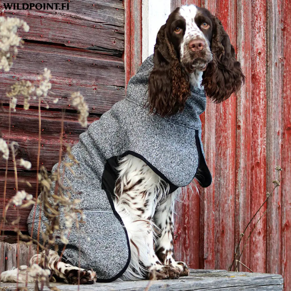 Kivalo koiran lämpöpaita luppo